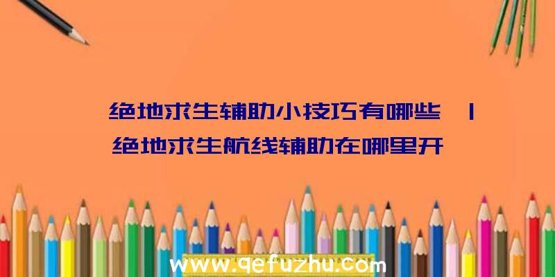 「绝地求生辅助小技巧有哪些」|绝地求生航线辅助在哪里开